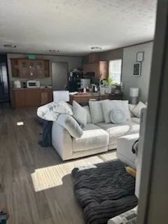 a living room with furniture and a view of kitchen