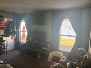 1525 Iron Trail East Indianapolis, IN 46234 - Photo 28 of 30