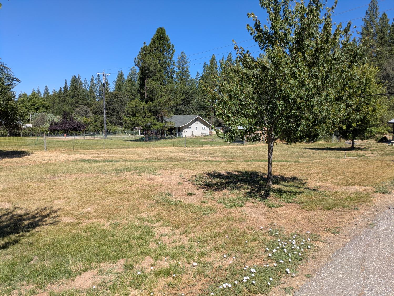 12986 Rough And Ready Highway Rough and Ready, CA 95975 - Photo 26 of 28