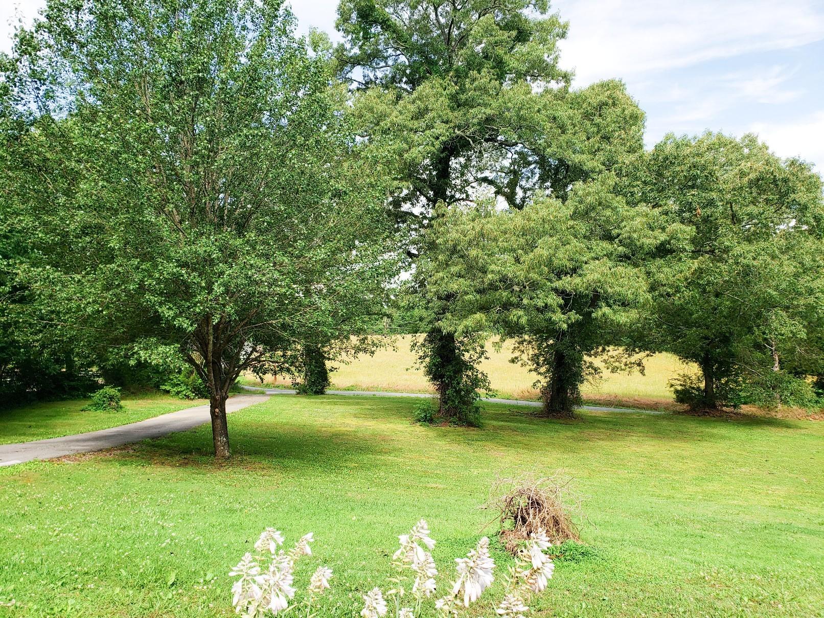 3200 Wasson Road Ten Mile, TN 37880 - Photo 6 of 28 PSX_20200624_201124_copy_1612x1209