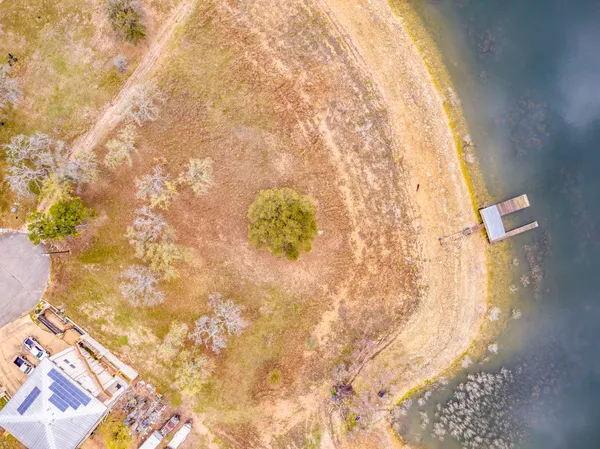a view of yard with tree