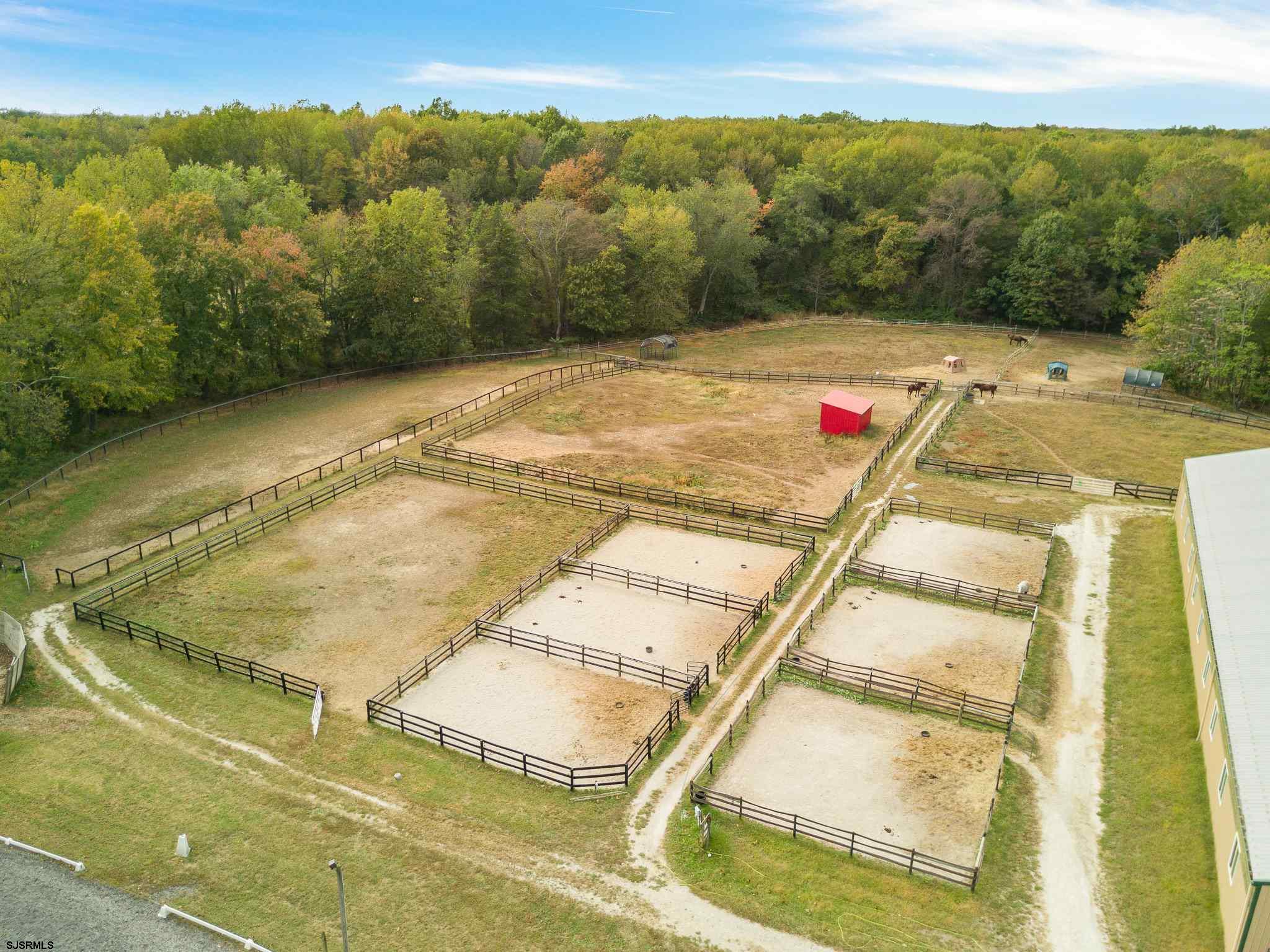 350 Mannington Yorktown Road Woodstown, NJ 08098 - Photo 5 of 23 a view of swimming pool with a yard