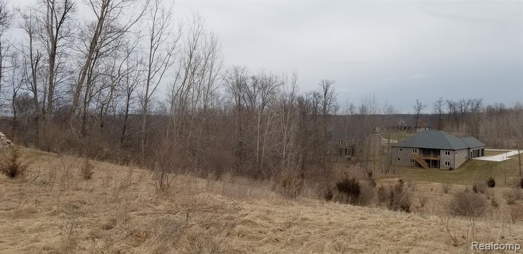 0 Palmers Way Fenton, MI 48430 - Photo 4 of 25