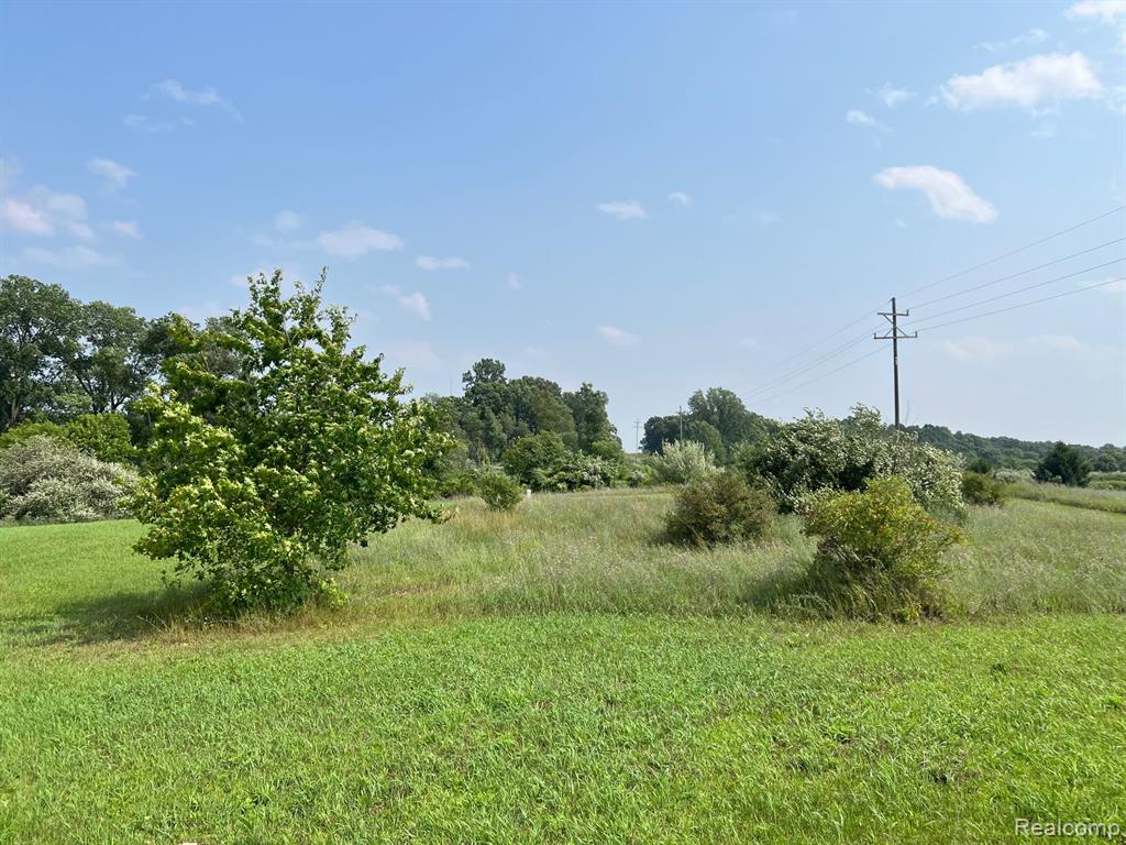 11455 Boyce Road Chelsea, MI 48118 - Photo 7 of 9