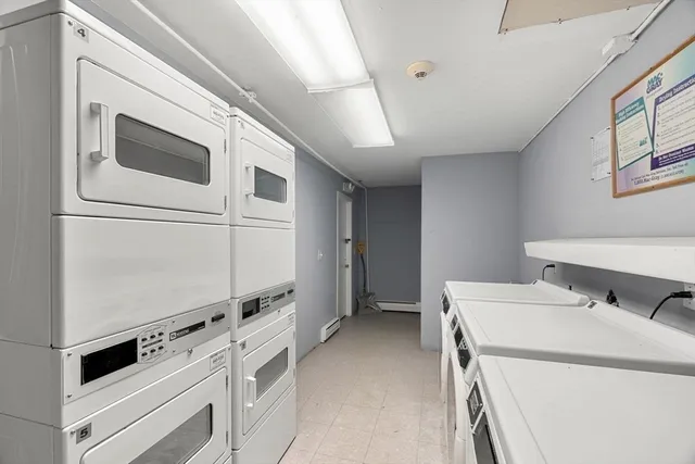 a view of a white house with a large tree in front of it