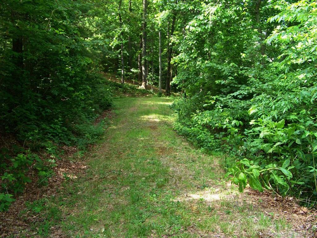 110 Rambling Ridge Road Asheville, NC 28804 - Photo 2 of 12 Gallery Image 2