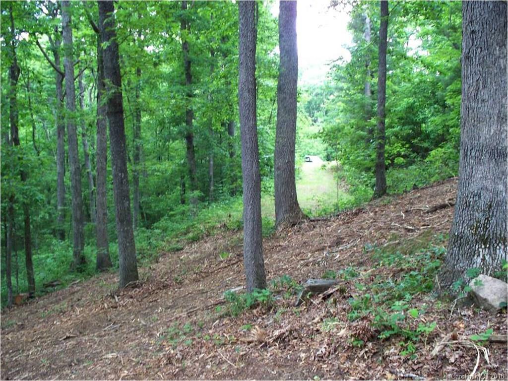 110 Rambling Ridge Road Asheville, NC 28804 - Photo 11 of 12 Gallery Image 11