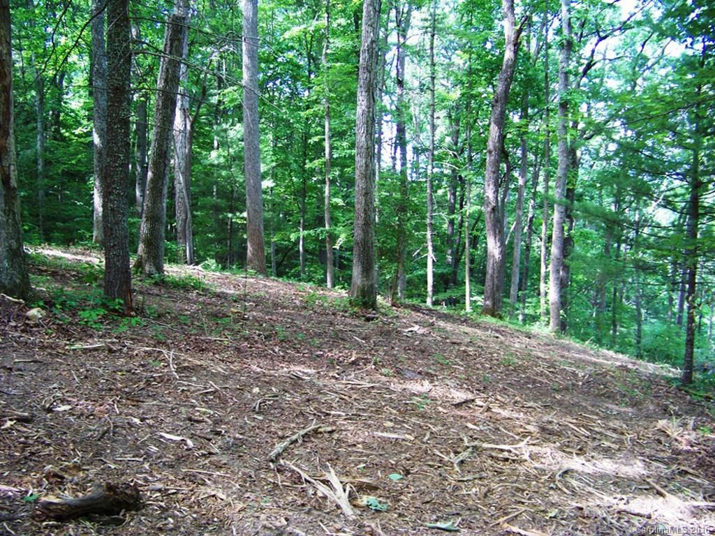 110 Rambling Ridge Road Asheville, NC 28804 - Photo 12 of 12 Gallery Image 12