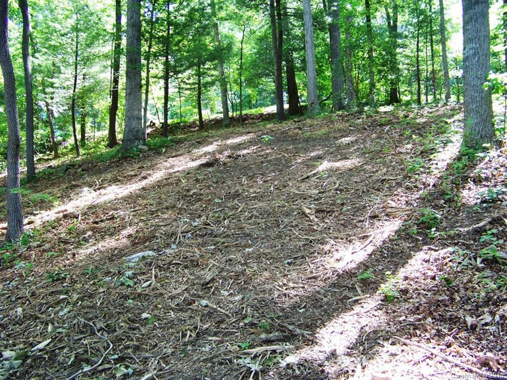 110 Rambling Ridge Road Asheville, NC 28804 - Photo 3 of 12 Gallery Image 3