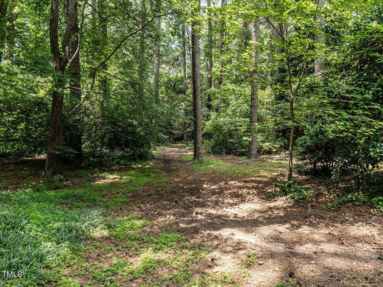5809 Kimbal Street Raleigh, NC 27606 - Photo 42 of 45 042-1280x960-backyard