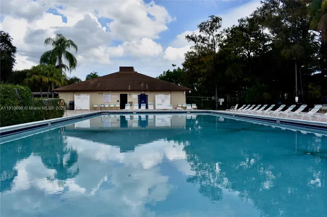 a row of palm trees and tree in the park
