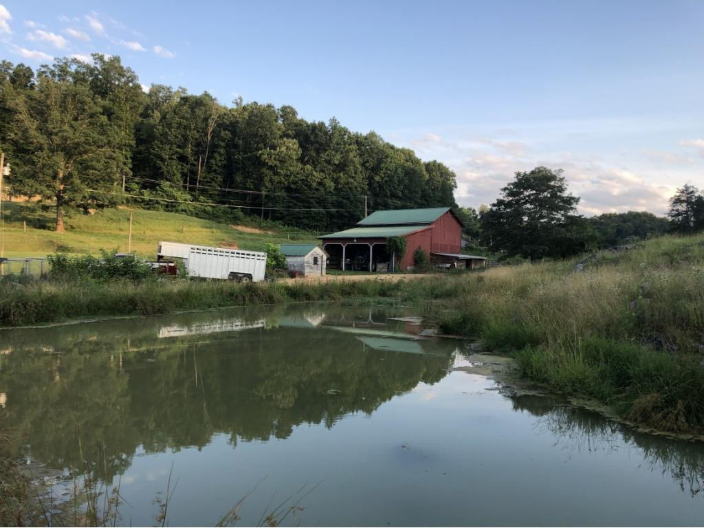 347 Greggtown Road Jonesborough, TN 37659 - Photo 3 of 21 Photo 3