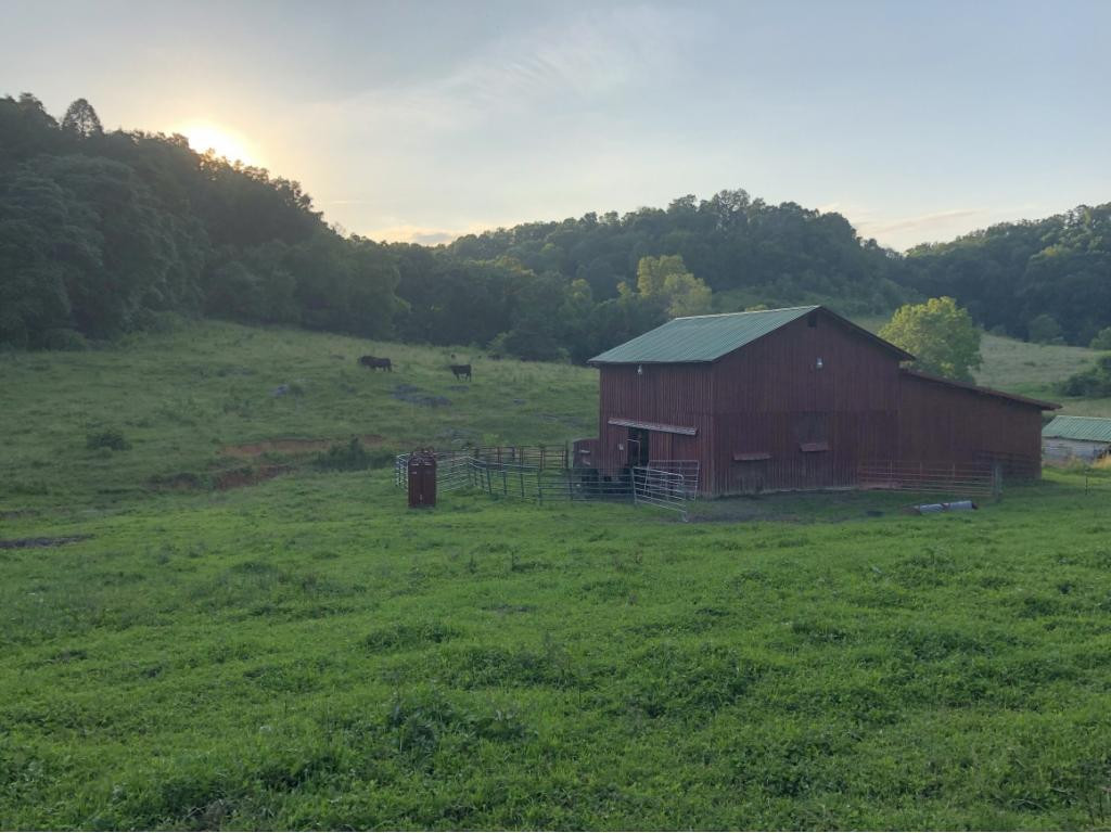 347 Greggtown Road Jonesborough, TN 37659 - Photo 4 of 21 Photo 4
