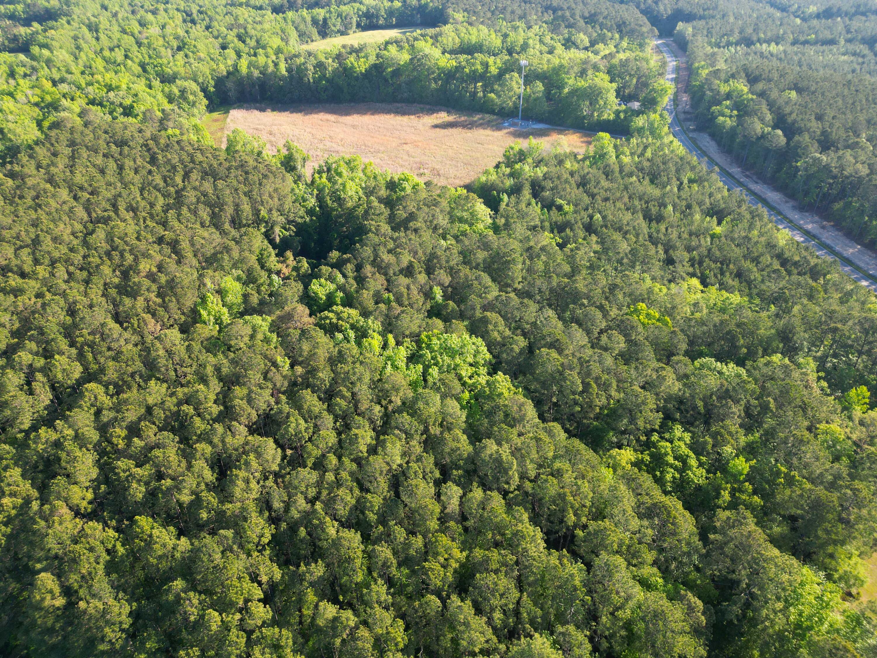 1162 Carter Road Ridgeville, SC 29472 - Photo 16 of 17 DJI_0857