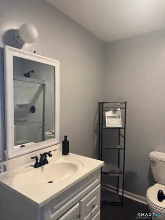 a bathroom with a sink toilet vanity and mirror