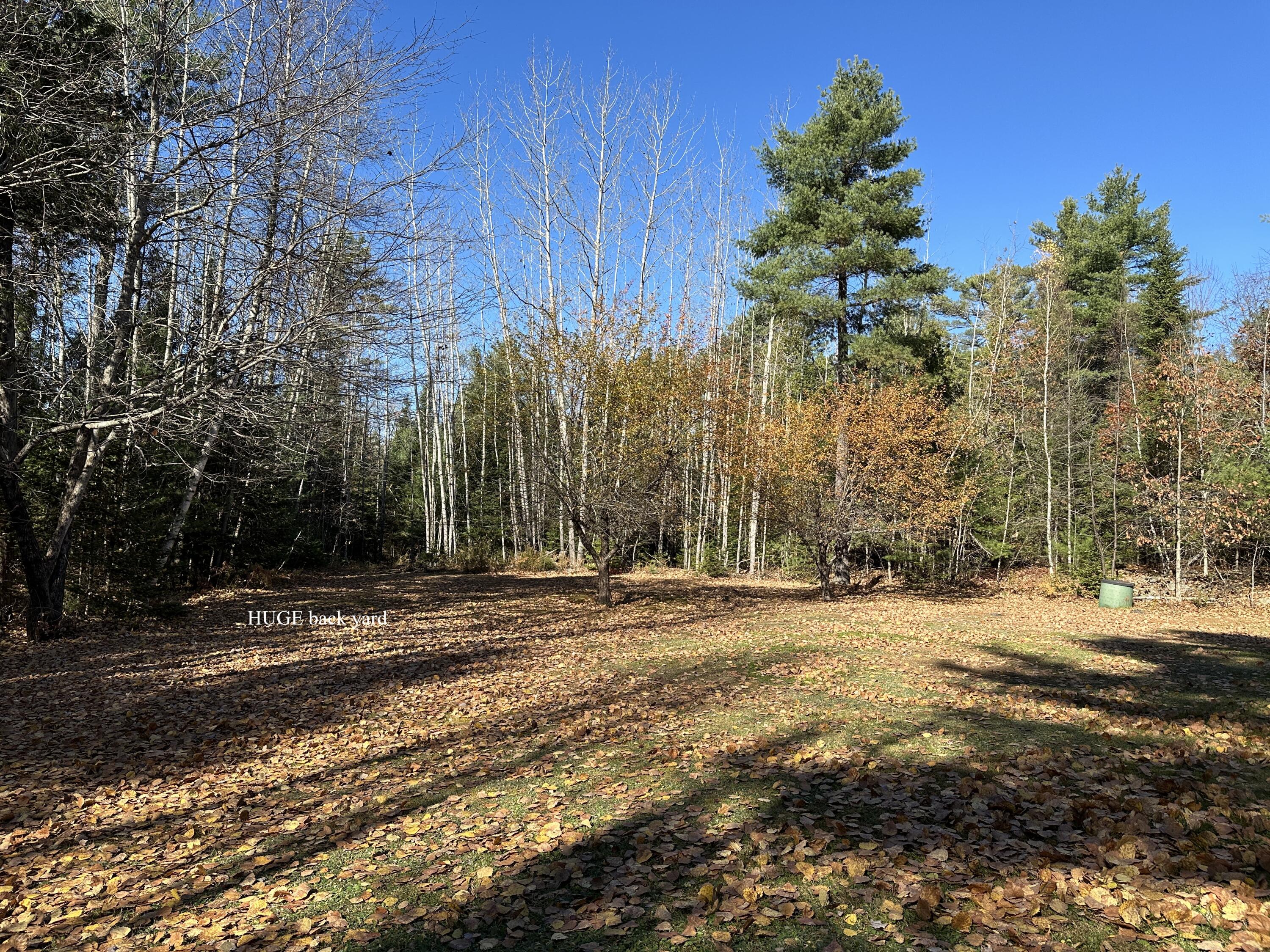 978 Orono Road Glenburn, ME 04401 - Photo 8 of 69 69