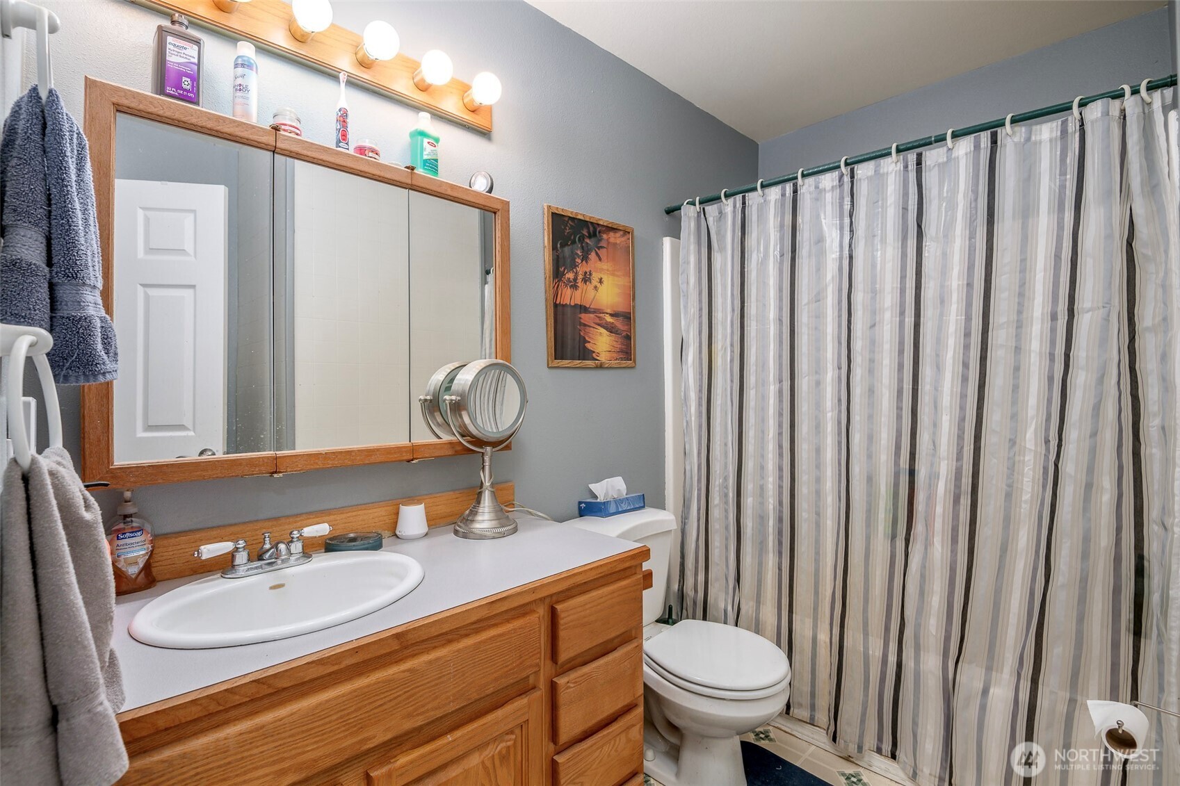 4048 Southeast Horstman Road Port Orchard, WA 98366 - Photo 22 of 40 a bathroom with a sink a toilet and shower curtain