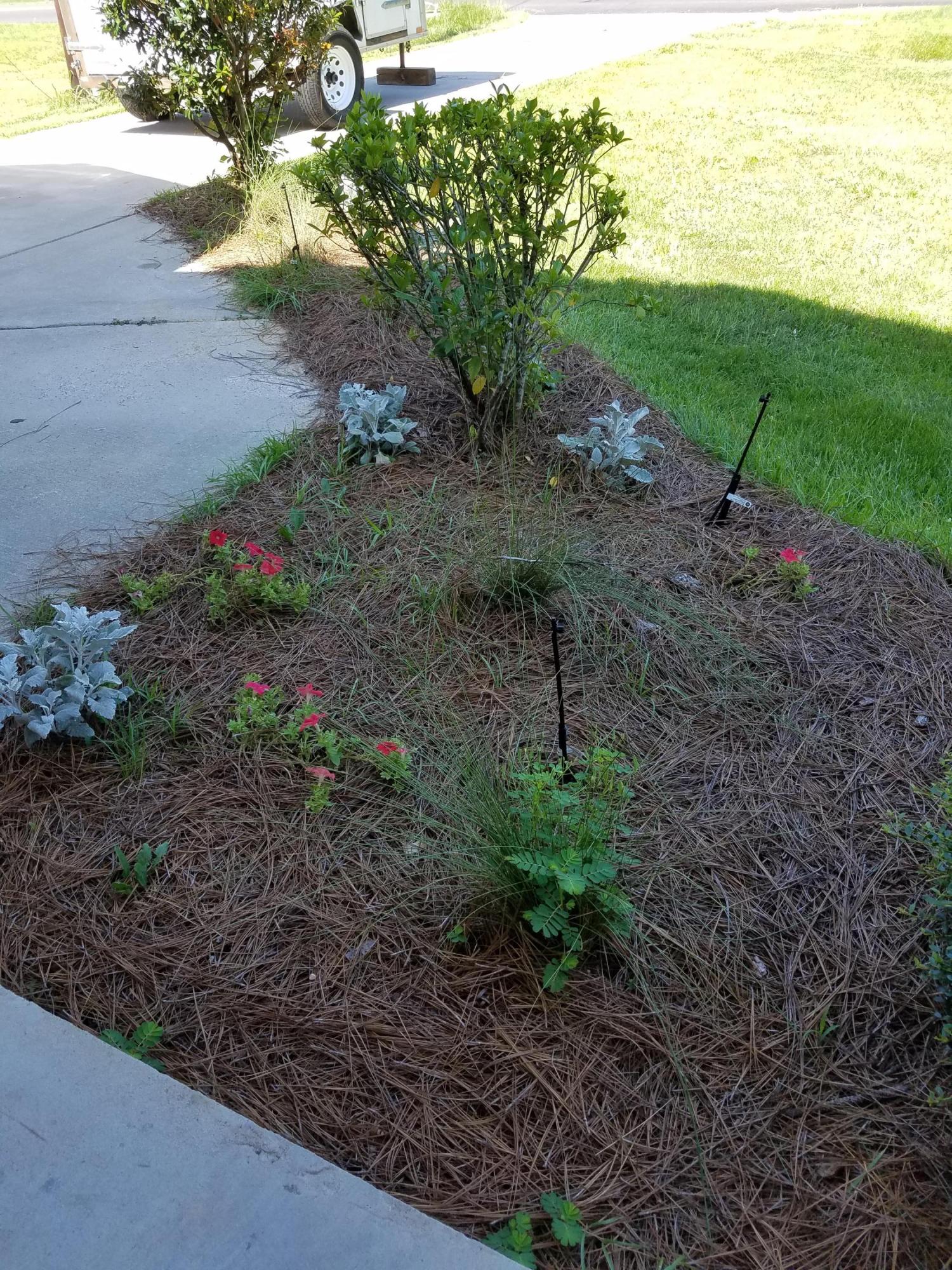 220 Lindy Creek Road Goose Creek, SC 29445 - Photo 19 of 21 Landscaping