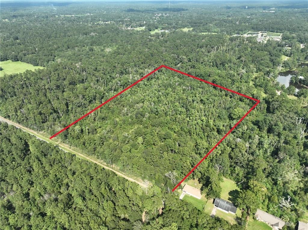 20.19-acres Rufus Bankston Road Hammond, LA 70401 - Photo 2 of 8 Gallery Image 2