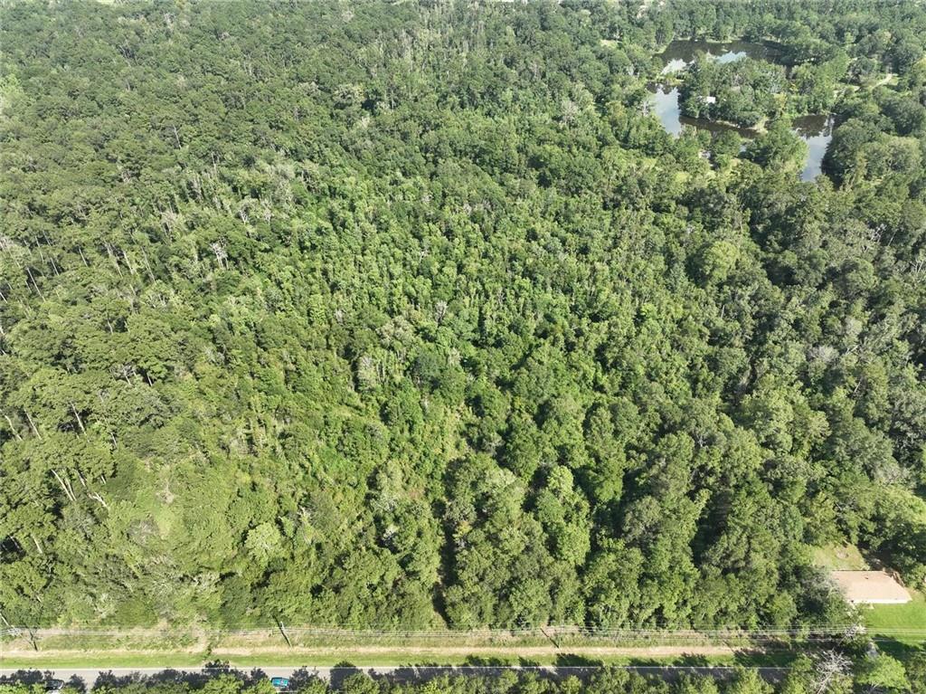 20.19-acres Rufus Bankston Road Hammond, LA 70401 - Photo 5 of 8 Gallery Image 5