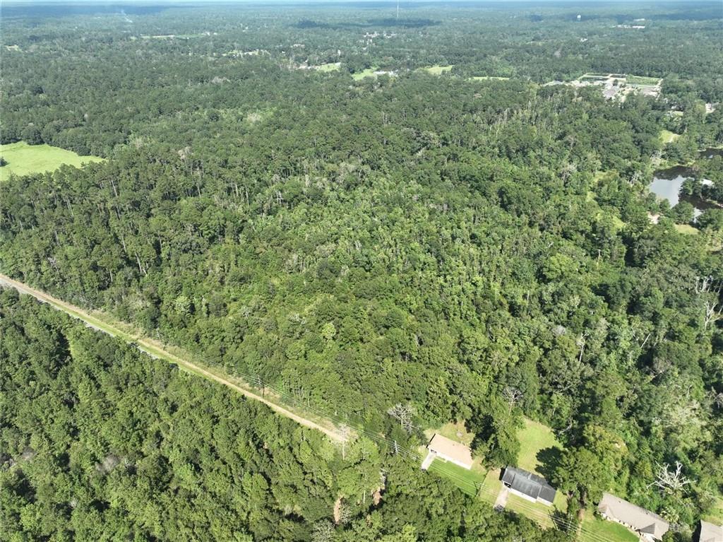 20.19-acres Rufus Bankston Road Hammond, LA 70401 - Photo 6 of 8 Gallery Image 6