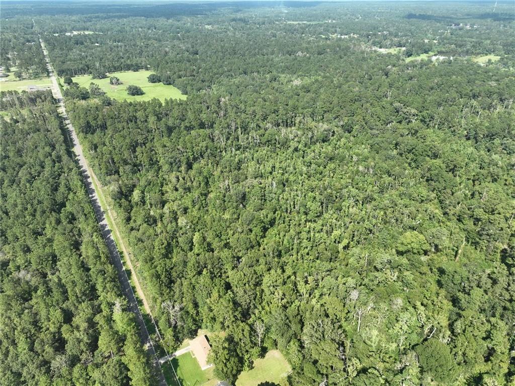 20.19-acres Rufus Bankston Road Hammond, LA 70401 - Photo 7 of 8 Gallery Image 7