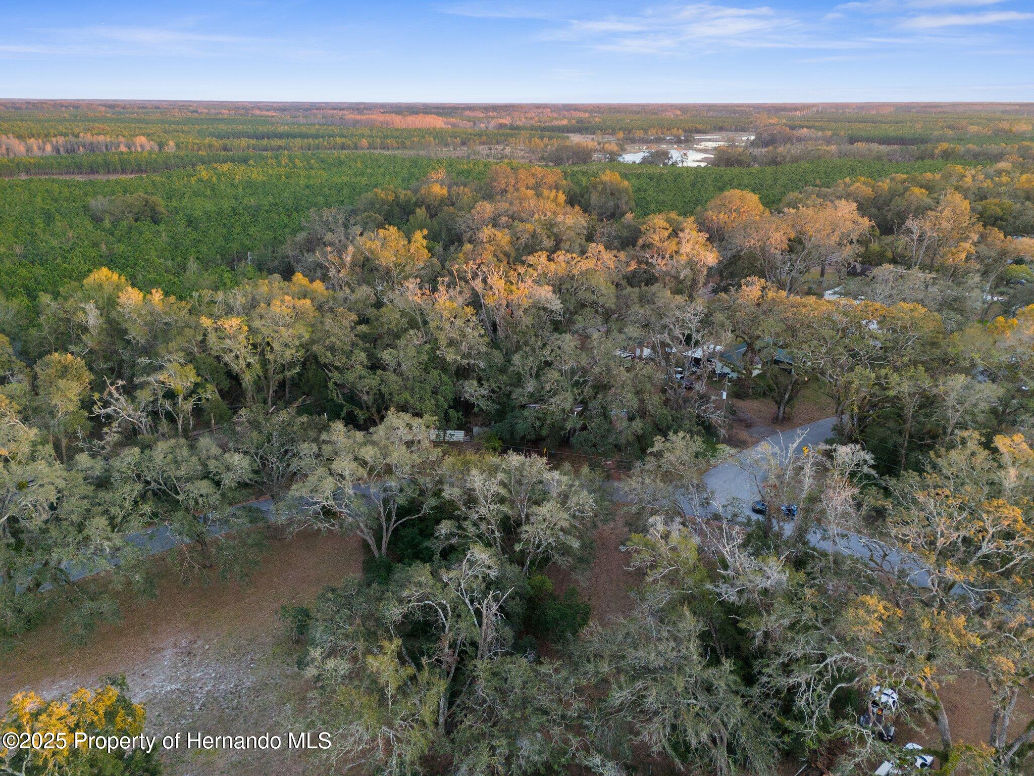 0 Alabama Road Spring Hill, FL 34610 - Photo 5 of 11