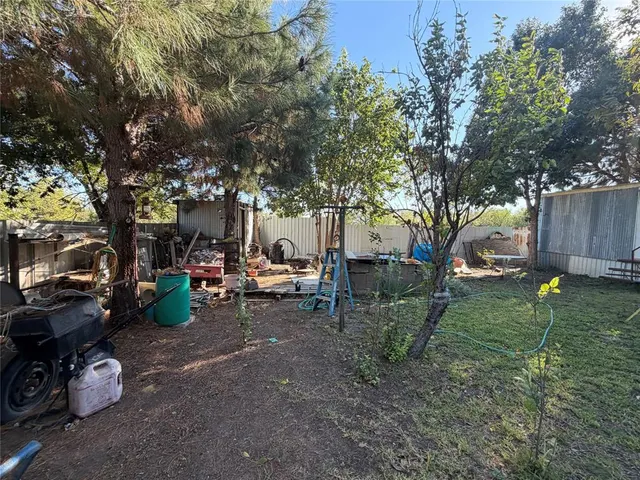 a view of a park with bench and a large tree