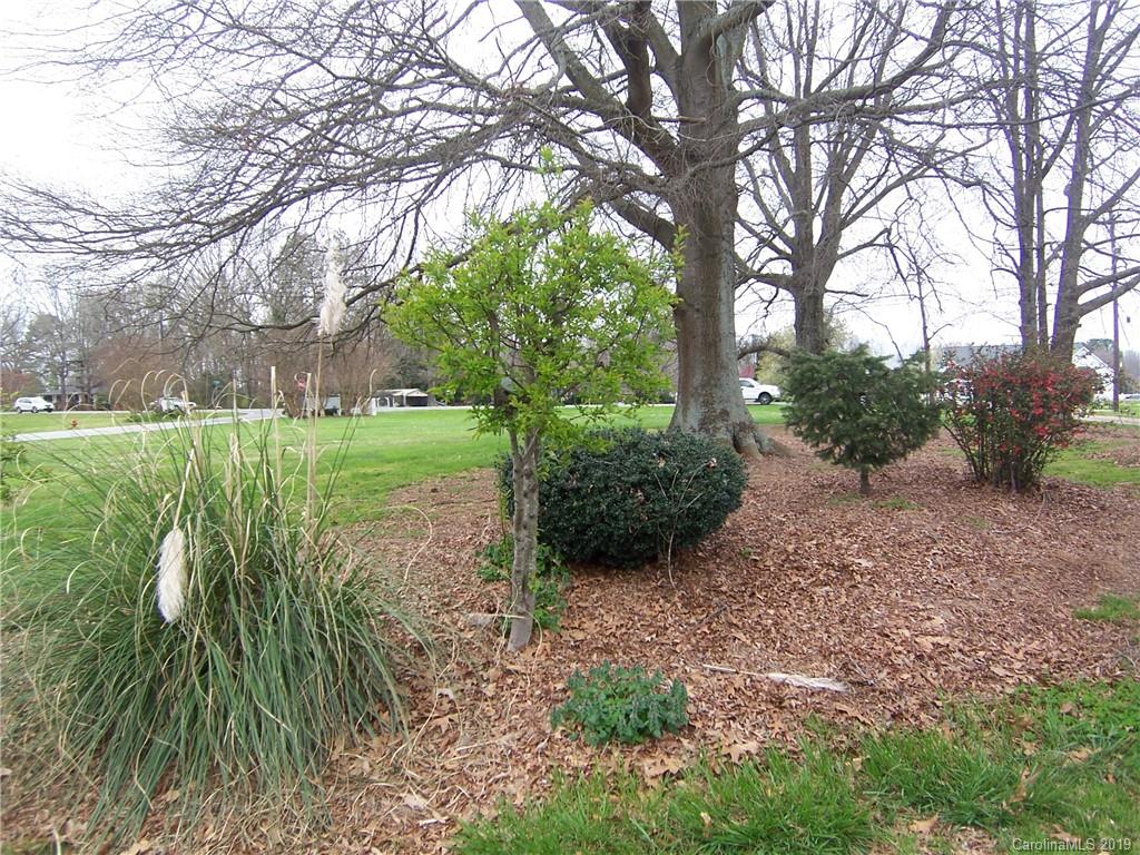 3804 Fallston Road Shelby, NC 28150 - Photo 22 of 24 a view of a garden with a tree