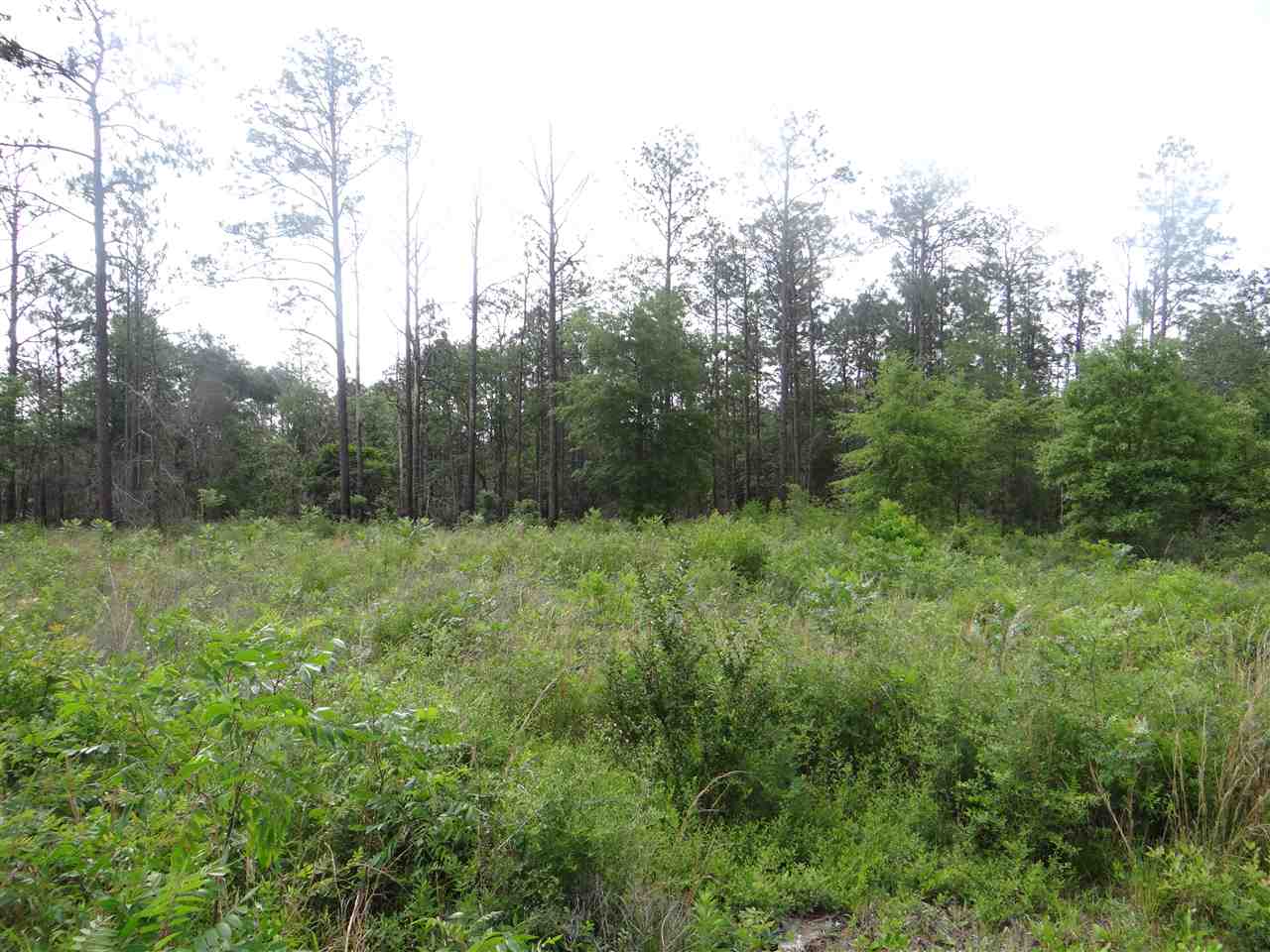 39800 Mary Grice Road Bay Minette, AL 36507 - Photo 2 of 6
