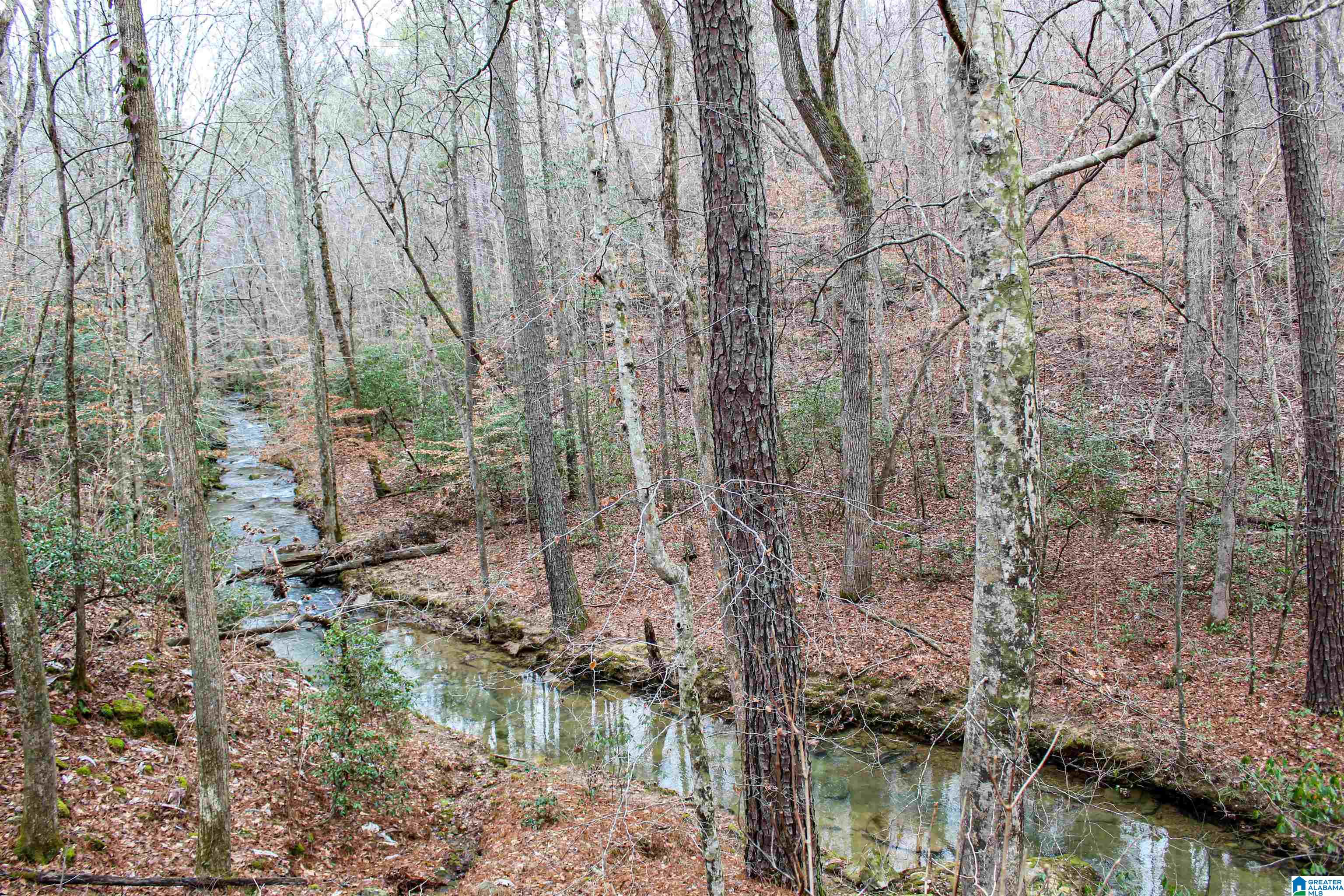 3379 County Road 80, Unit 1 Addison, AL 35540 - Photo 18 of 53