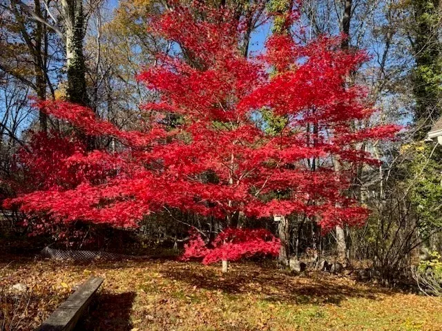 $550,000 | 955 Summer Street, Franklin, MA 02038