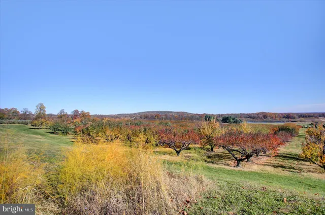 a view of lake and mountain