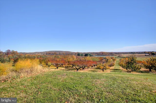 a view of lake view and mountain