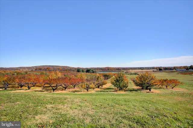a view of lake and mountain