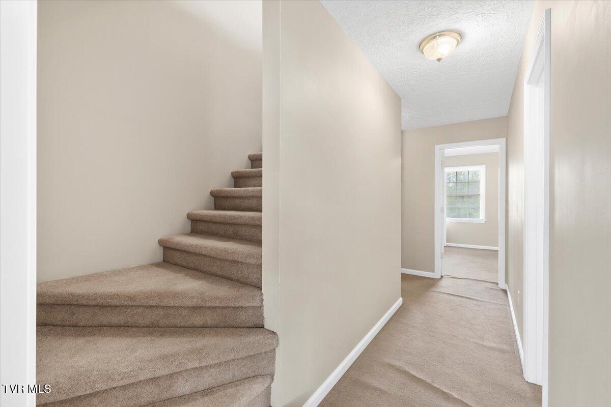 529 Beaverview Drive Bristol, VA 24201 - Photo 21 of 30 25-128A5450