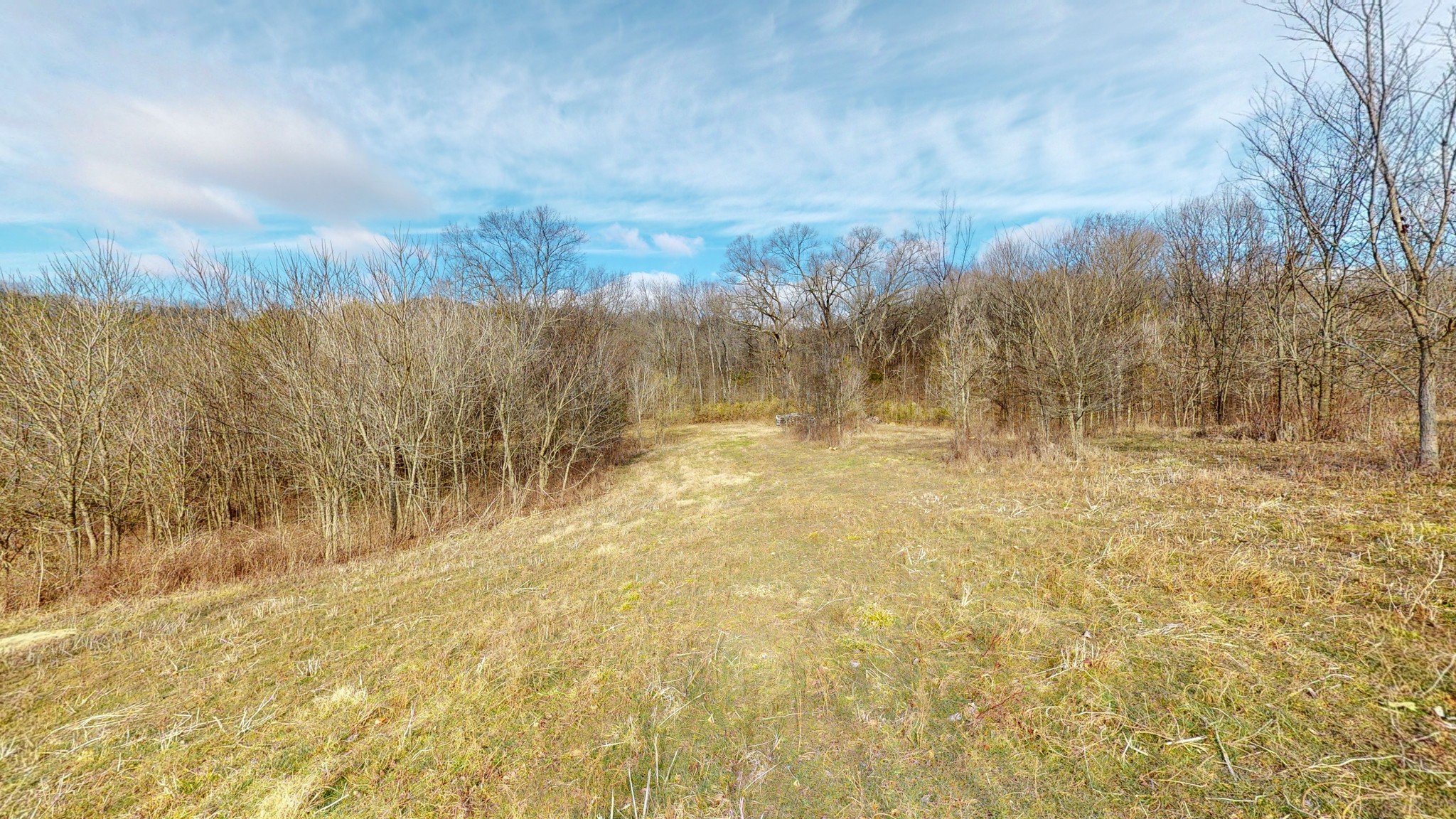 2065 Dowell Branch Road Columbia, TN 38401 - Photo 13 of 43 Gallery Image 13