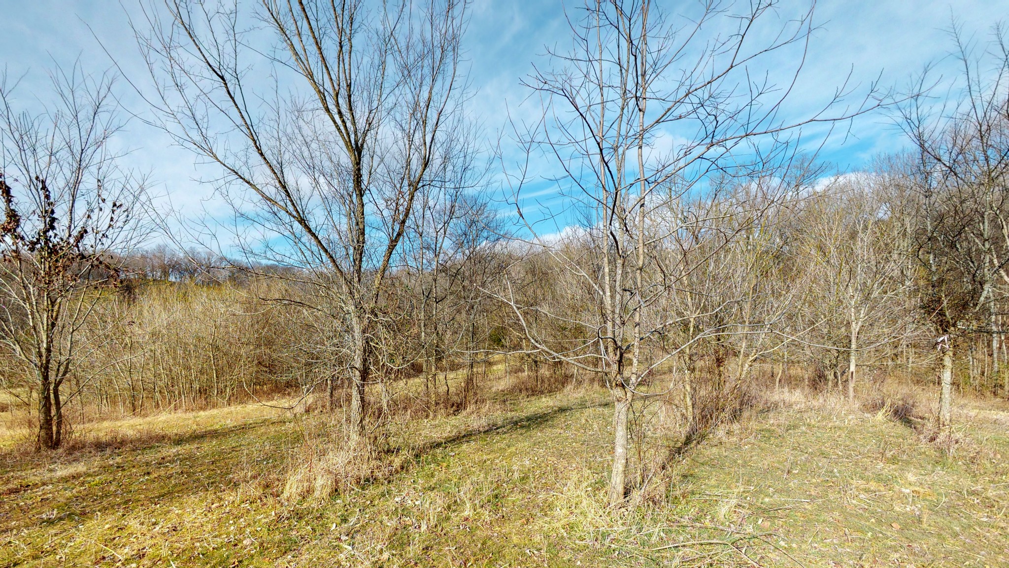 2065 Dowell Branch Road Columbia, TN 38401 - Photo 14 of 43 Gallery Image 14