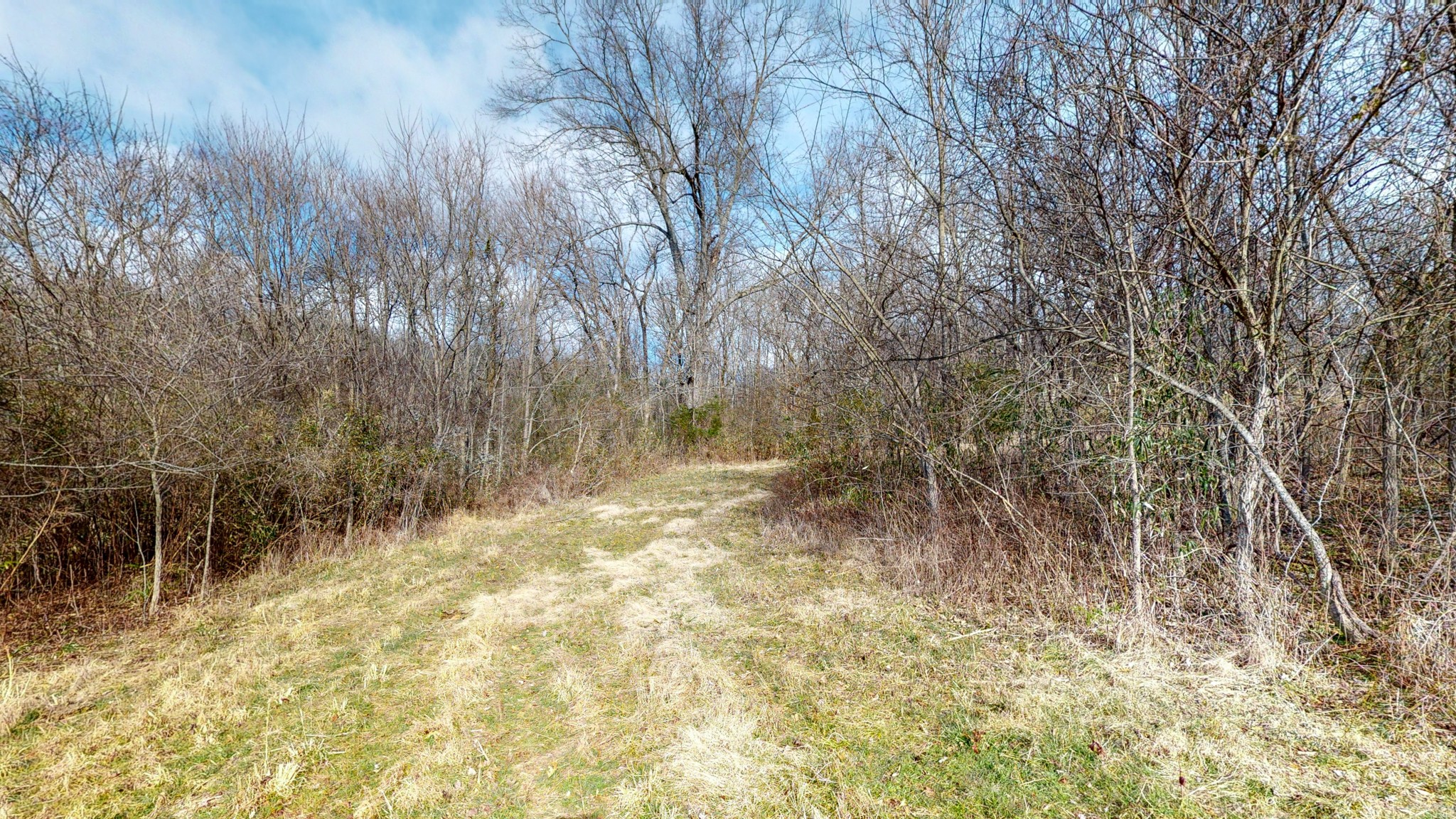 2065 Dowell Branch Road Columbia, TN 38401 - Photo 16 of 43 Gallery Image 16
