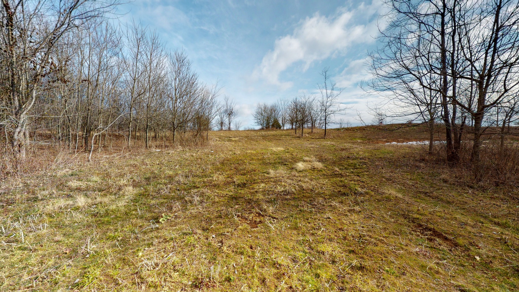 2065 Dowell Branch Road Columbia, TN 38401 - Photo 3 of 43 Gallery Image 3