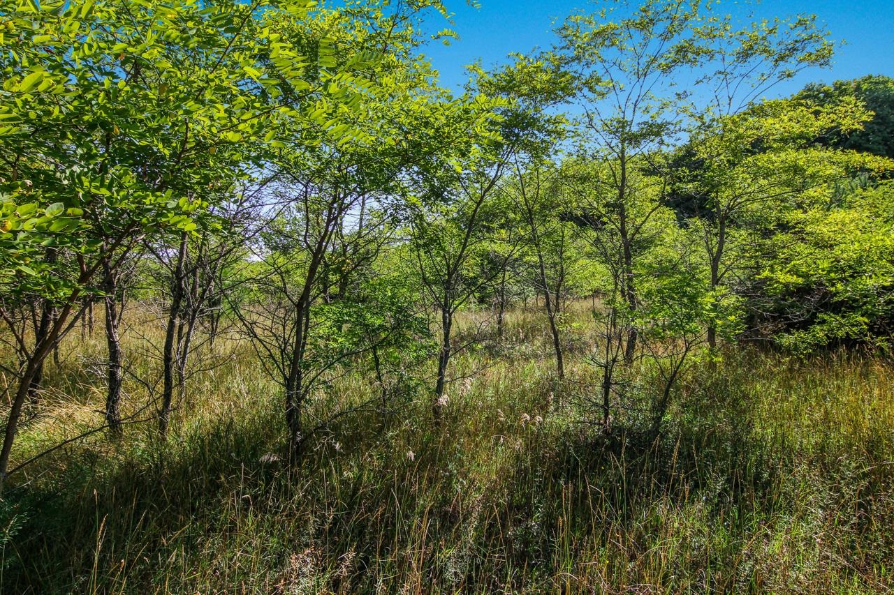 A3 Wallaker Road, Unit LOT: A3 Benzonia, MI 49616 - Photo 12 of 17