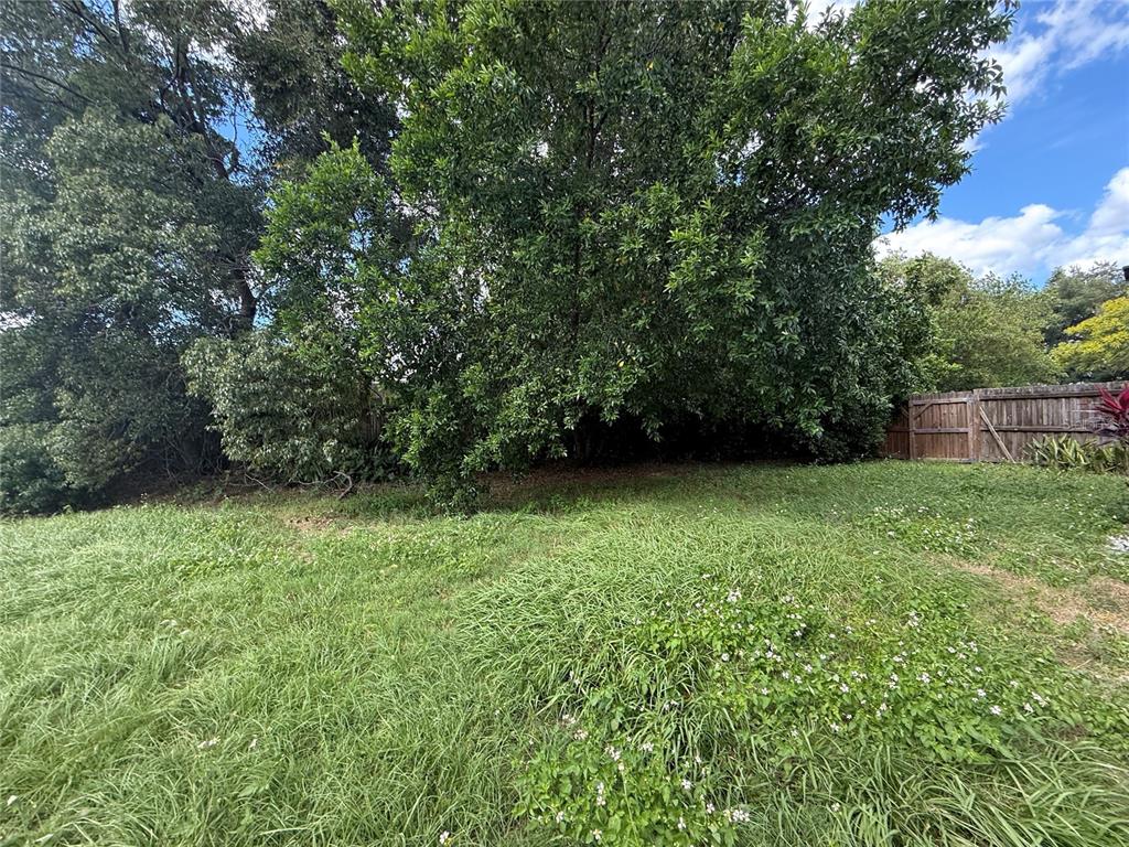 1104 Timor Avenue Orlando, FL 32804 - Photo 17 of 18