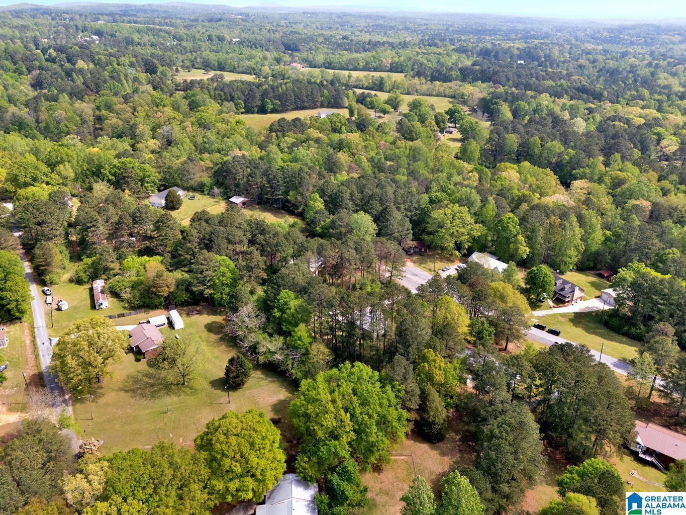 135 Hayden Springs Road Hayden, AL 35079 - Photo 32 of 37