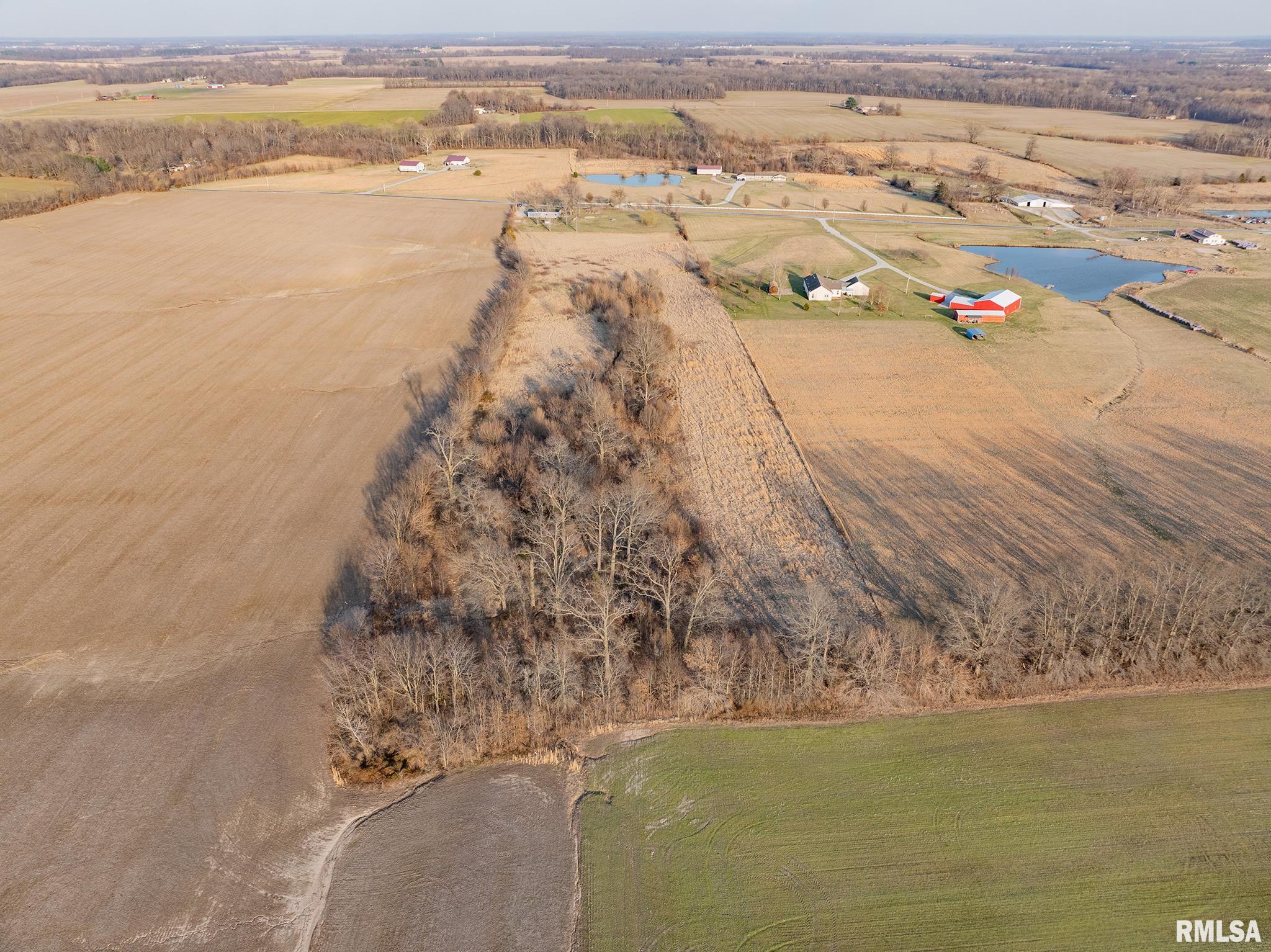 1987 Charleston Road Salem, IL 62881 - Photo 8 of 39