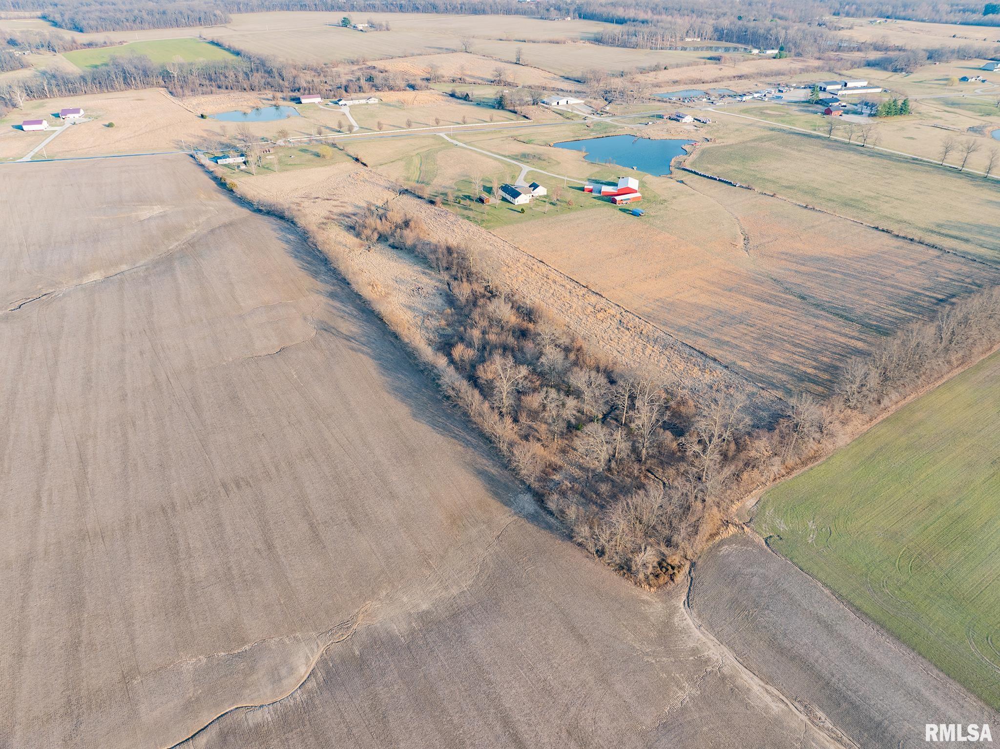 1987 Charleston Road Salem, IL 62881 - Photo 9 of 39