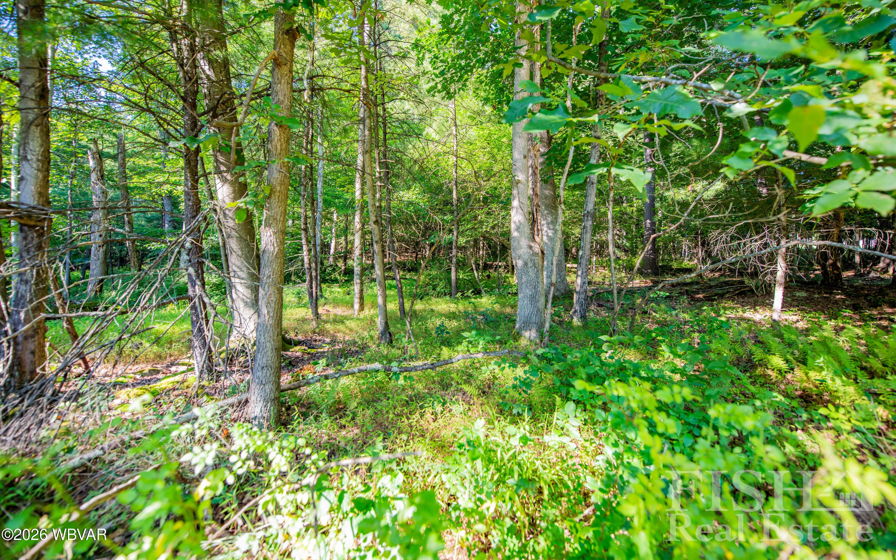 618 Dunkleberger Road Williamsport, PA 17701 - Photo 6 of 25 Gallery Image 6