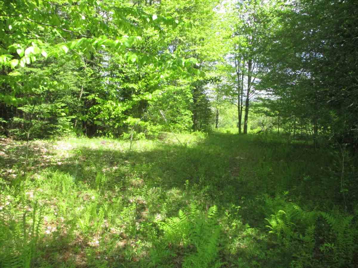 0 Richard Woolcutt Road Wolcott, VT 05680 - Photo 2 of 10