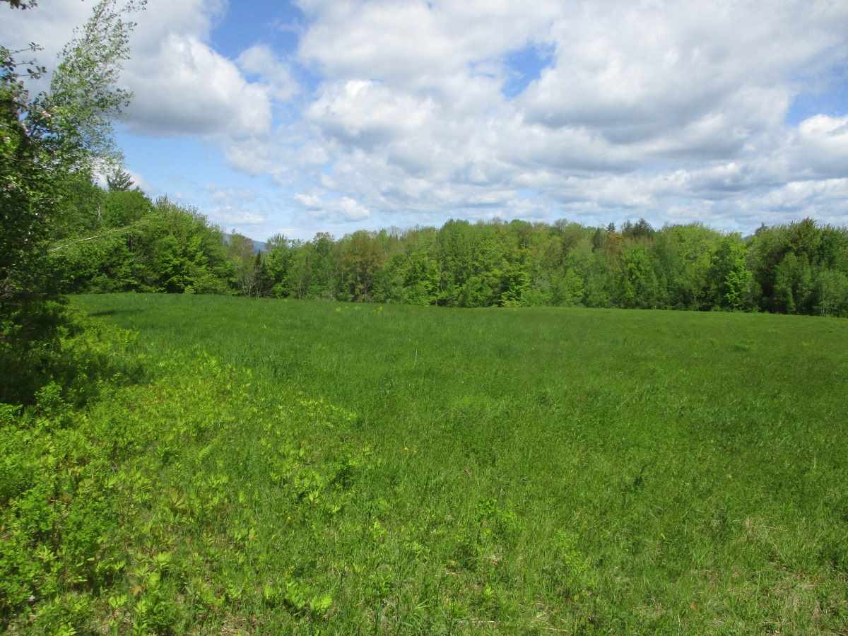 0 Richard Woolcutt Road Wolcott, VT 05680 - Photo 3 of 10
