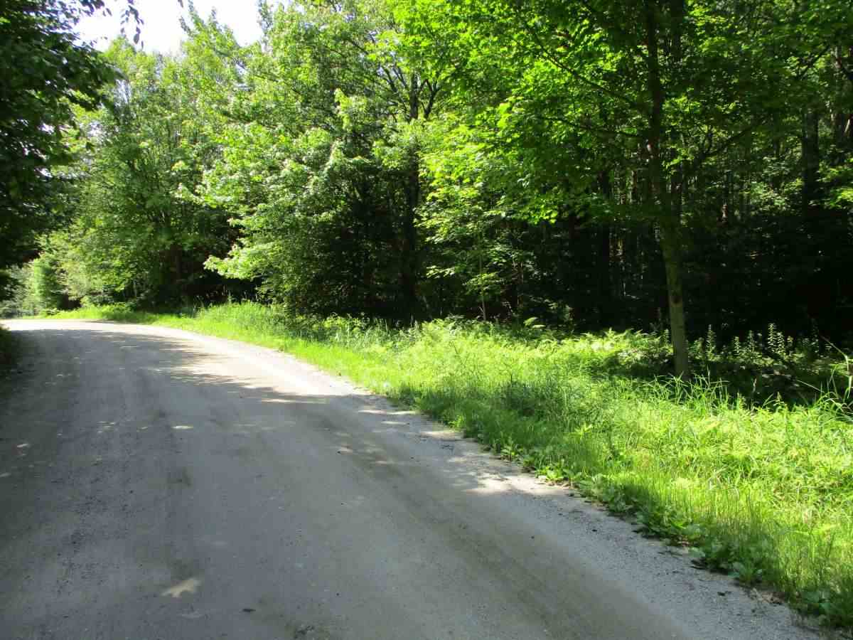 0 Richard Woolcutt Road Wolcott, VT 05680 - Photo 5 of 10