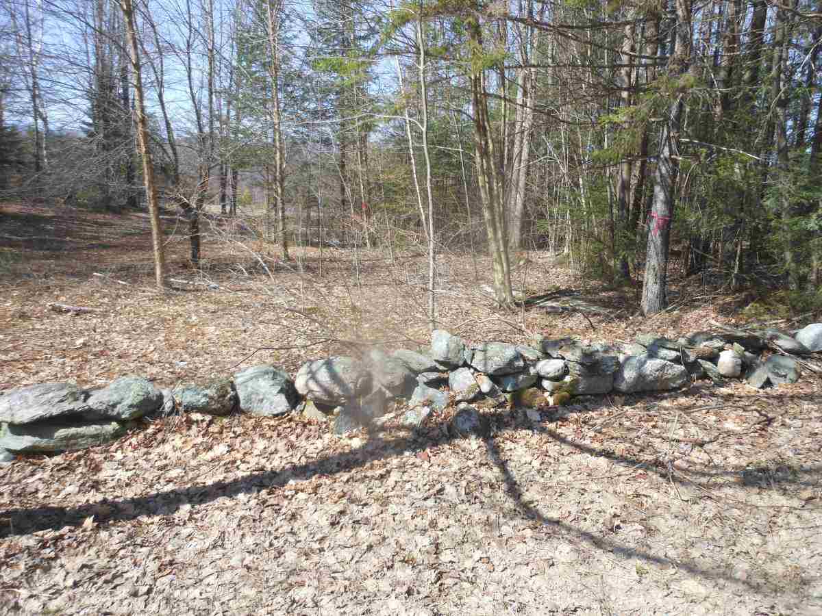 0 Richard Woolcutt Road Wolcott, VT 05680 - Photo 6 of 10